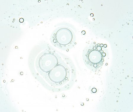 Cicabio Hand Cream