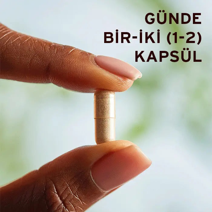 Ginkgo Biloba Leaf Extract