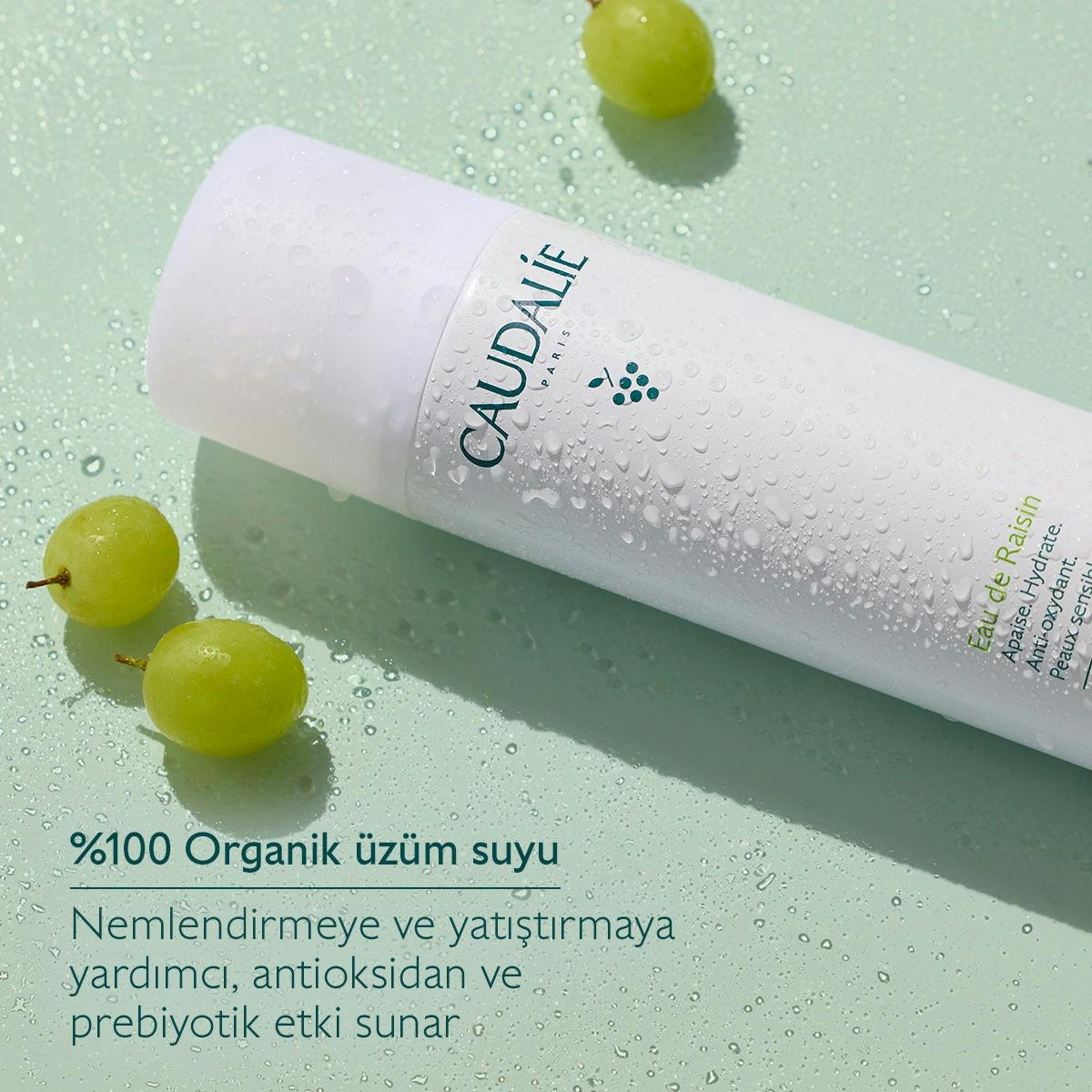 Organik Üzüm Suyu - 300mL