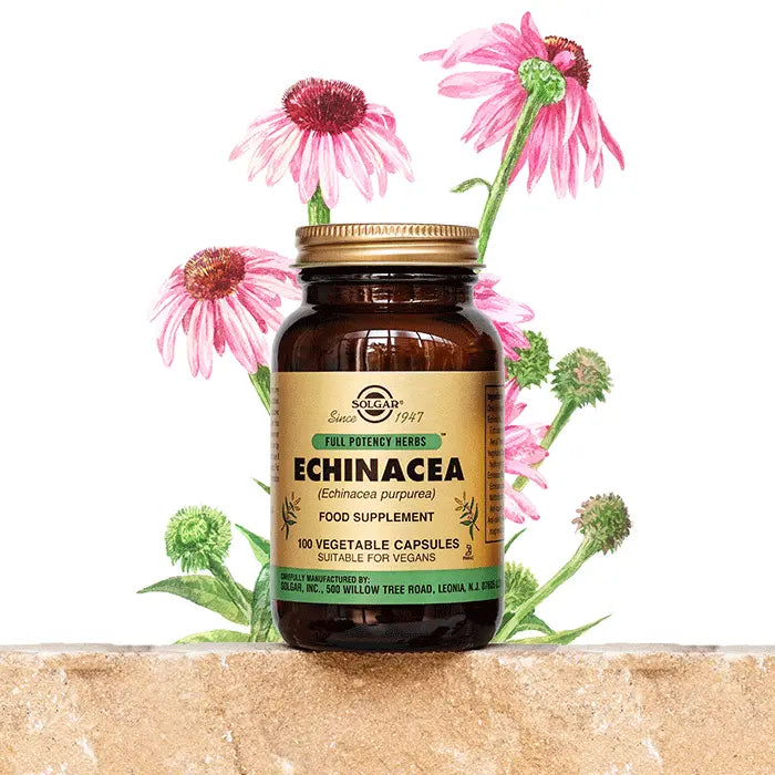 Echinacea