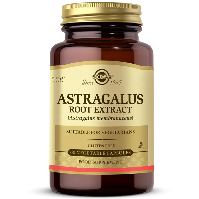 Astragalus Root Extract