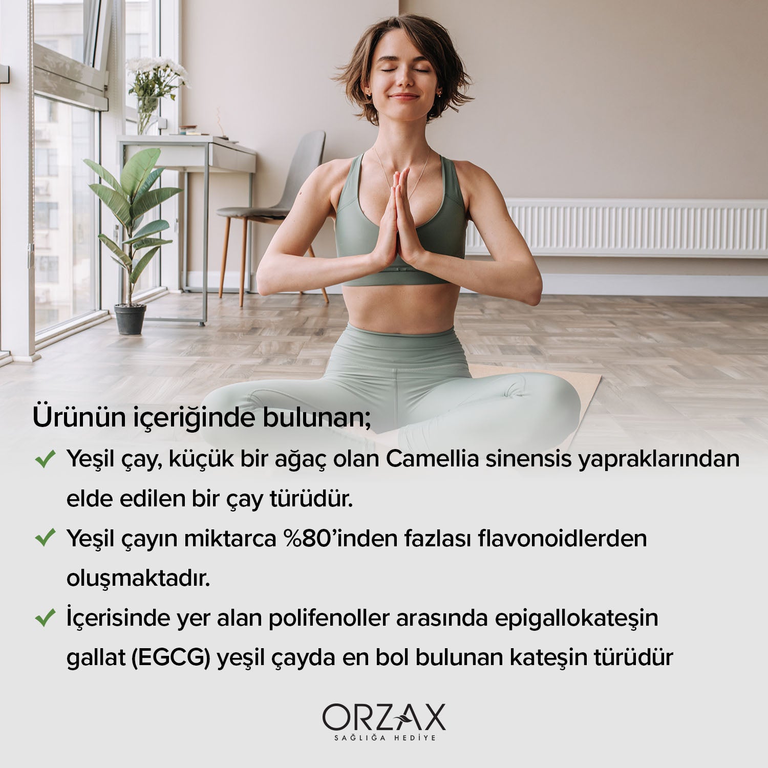 Ocean Yesil Cay Ekstresi Iceren Takviye Edici Gida 500 Mg 60 Kapsul