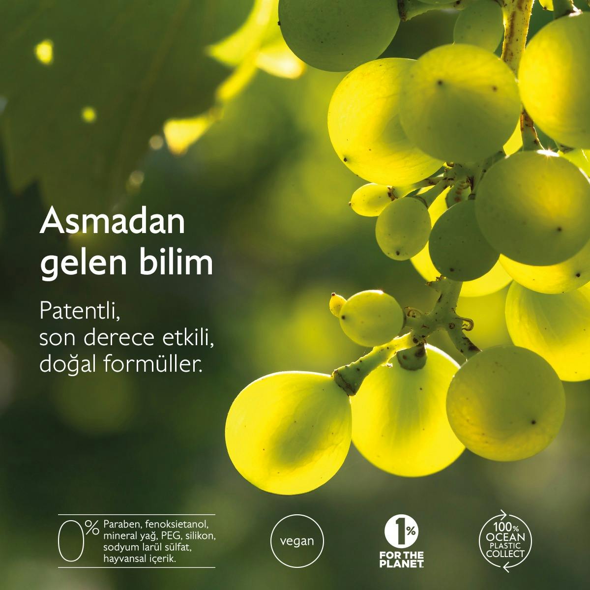 Kapsamlı Yaşlanma Karşıtı Gündüz Bakım Kremi