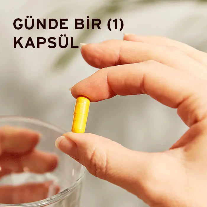Turmeric Root Extract