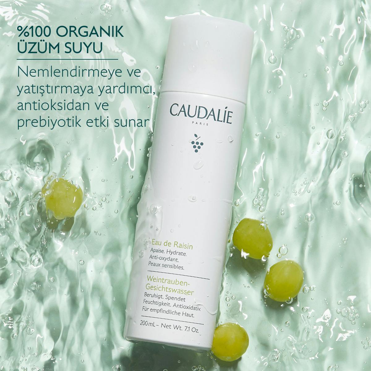 Organik Üzüm Suyu 75ml