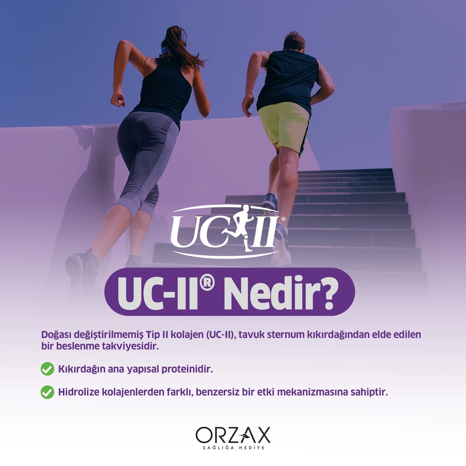 OCEAN COLFLEX TAKVIYE EDICI GIDA 30 saşe