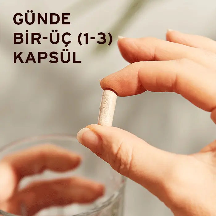 Korean Ginseng