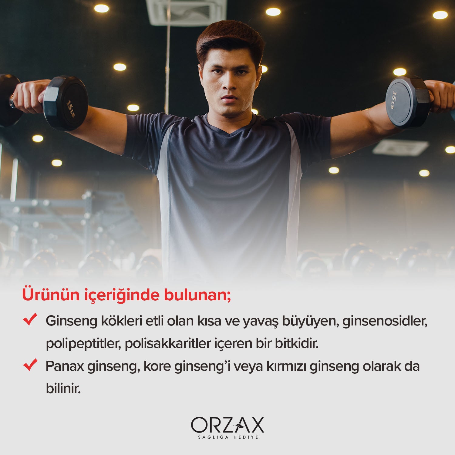 Ocean Panax Ginseng Kore Ginsengi Iceren Takviye Edici Gida 500 Mg 60 Kapsul