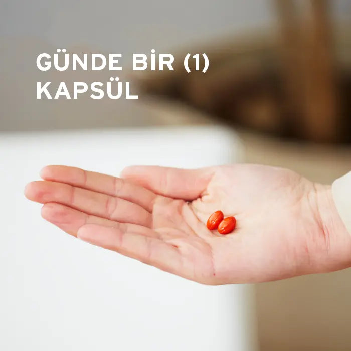 Nutri-Nano™ CoQ-10 3.1x