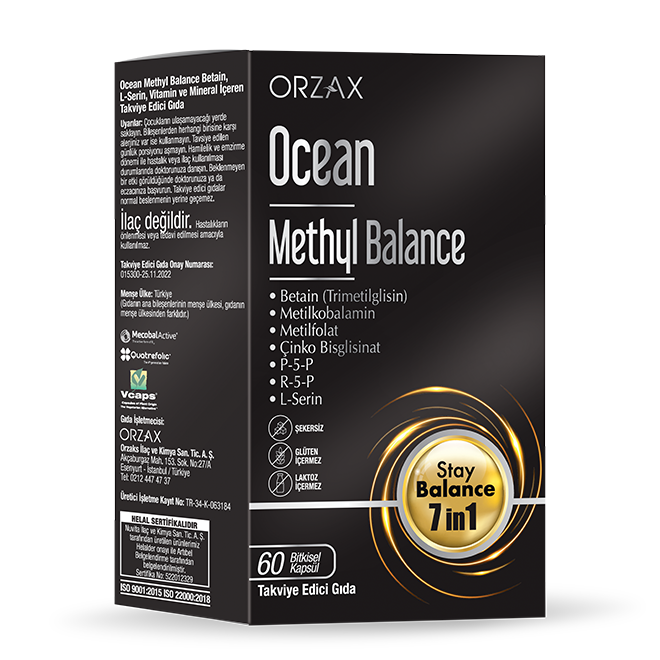 ocean methyl balance