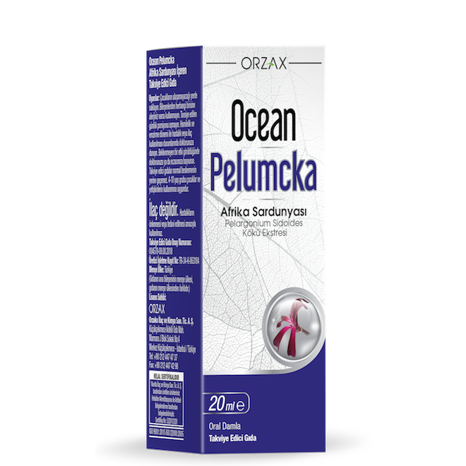 Ocean pelumcka